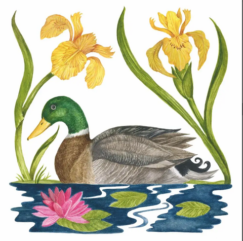 Beverage Napkins - Magnificent Mallard