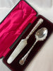 Estate Collection Silverplate - Boxed Set of Two Serving Pieces