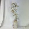 Tommy Mitchell All Antique White Orchids