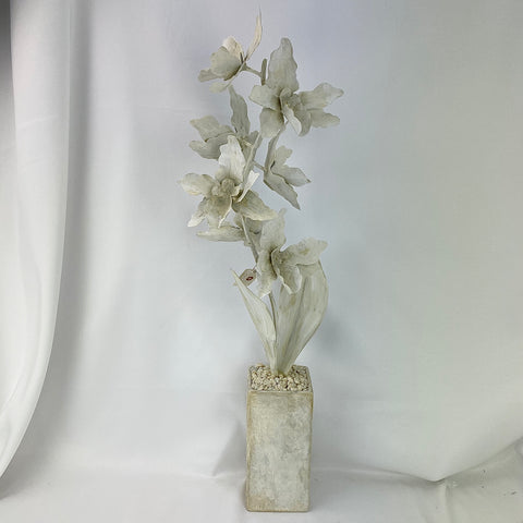 Tommy Mitchell All Antique White Orchids