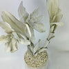 Tommy Mitchell All Antique White Orchid